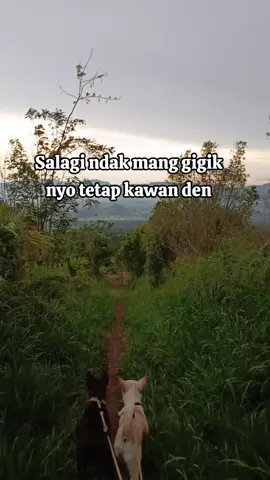 #komedi #cumahiburan #fyp 