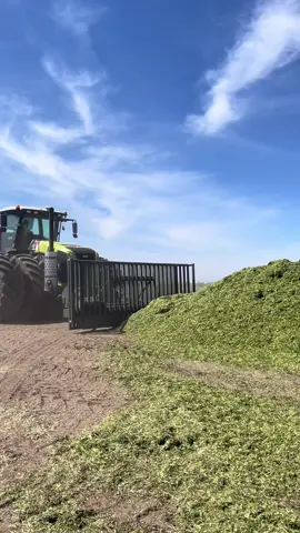 lo q suena 🚀🚀#agro #paratii #fyp #fyppppppppppppppppppppppp #campo 