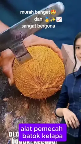 #alatpengupaskelapa #alatpengupasbatokkelapa #pisaupengupas #promoseruweekend #fypシ゚ 