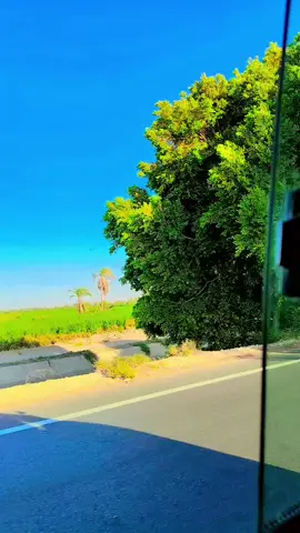 ... اخواتي بالدنيا ربنا يخليكوا ليا يا رب👩‍❤️‍👨😘🥰