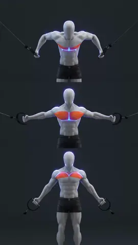 🔥 Cable Chest Fly (Upper, Mid, Lower)