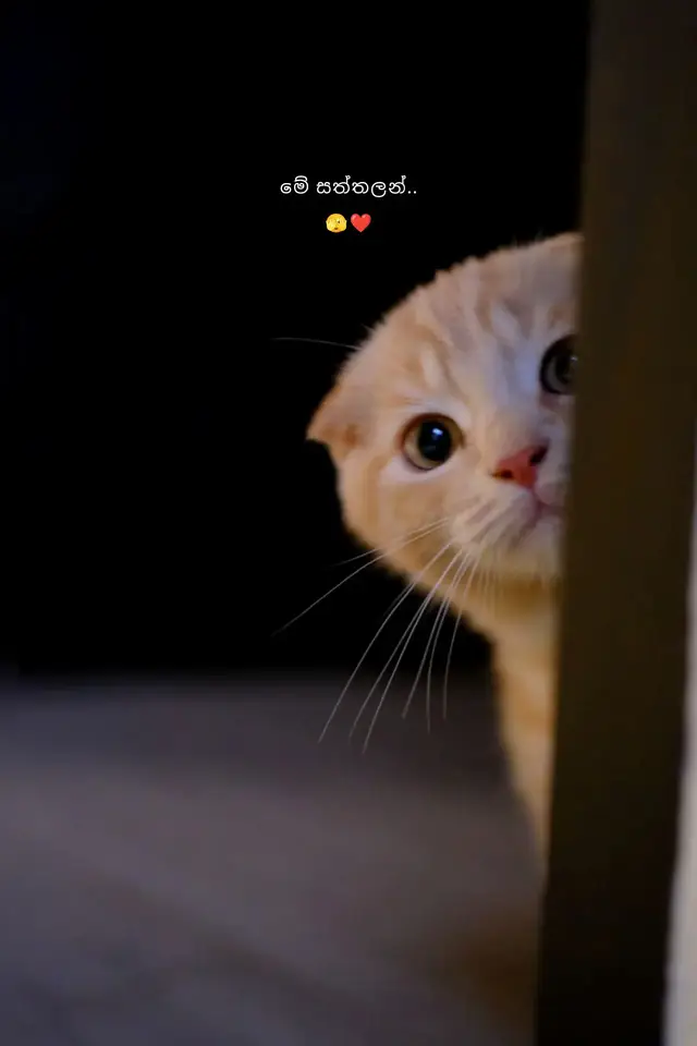 #froyou #lovestory #vairal_video_tiktok #vairal #Love 