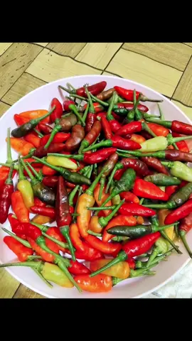 selamat pagi yg ceraaahhhh metik cabe pohon di rumah, Alhamdulillah