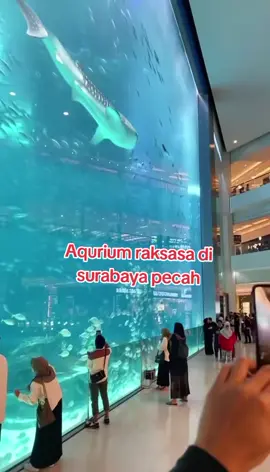 Aquarium raksasa di surabayabPecah basahin seluruh mall😱#info  #tiktokviral  #fyppppppppppppppppppppppp  #news 