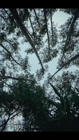 #CapCut #fyp #reflexion #true #seen 