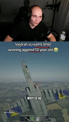 Voicechat was off at the end #clips #warthunder 