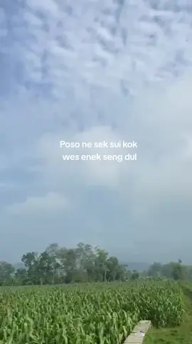 seng keroso nduwenk#fypp #trenggalek24jam 