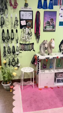 Twas the night before hoco🤭💖 #hobbyhorsing #hobbyhorse #usahobbyhorser 