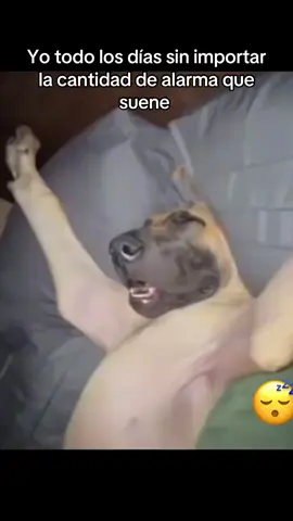 soy ese todas las mañanas 