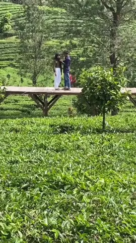 kaum kebagian cengar cengir nya doang lah kita kumpooollll😂😂😂🥲