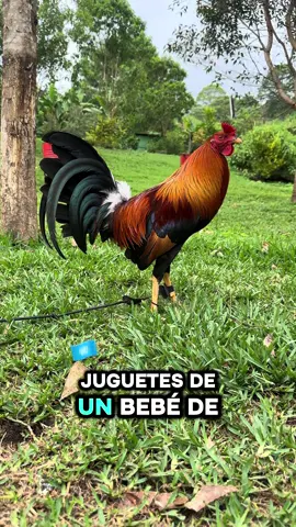 #CapCut #viral #parati 