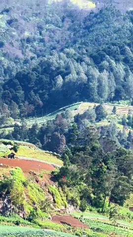 pagi 🥰#magelang24jam #nepalvanjava_magelang #kaliangkrik 