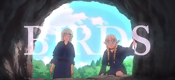 simple dungeon meshi edit because i miss it #dungeonmeshi #deliciousindungeon #farcille #dungeonmeshiedit #edit