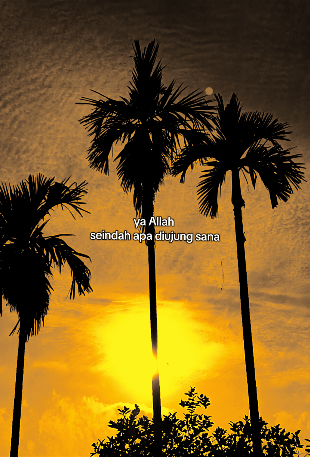 ya Allah tuntunlah hamba ke jalan yang engkau ridhoi ya Allah 🤲🏻😌 #syairarab #arabicquotes #ilahilastulilfirdaus #bismillahfyp #fyppppppppppppppppppppppp 