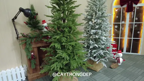 Cây thông PE ỐM#caythongpe #caythongnoel 