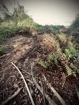 “cuộc đời có những lúc”#nhactamtrang #nhactrung #nhacbuon #xhungtiktok #xhungtiktok 