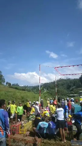 pagi yg cerah di lapkol KBR even tabanas 10 juta rupiah #merpatilovers #wonosobo24jam #merpatikolong #pengikut #masukberandafyp 