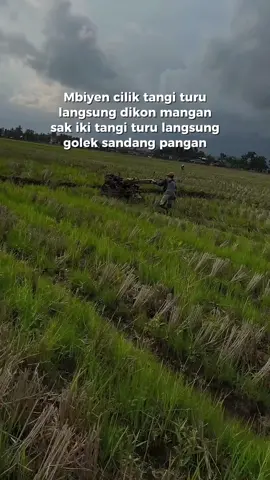 #CapCut  sing penting oleng.. 