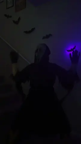 Night owl👀👀 🦉 @PEW PEW PEW 