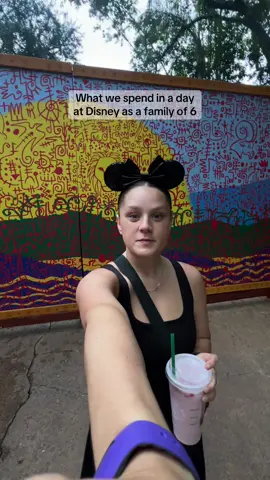 What we spend in a day at Disney ♥️✨🏰 #disney #disneyworld #waltdisney #spendthedaywithme 