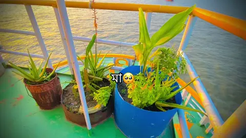 আমার মা🥺🤗#NDE_7 #azizthesailor @TikTok Bangladesh 