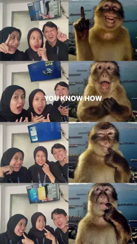 Trio monyet #trend #foto #with #monkey #fyp 