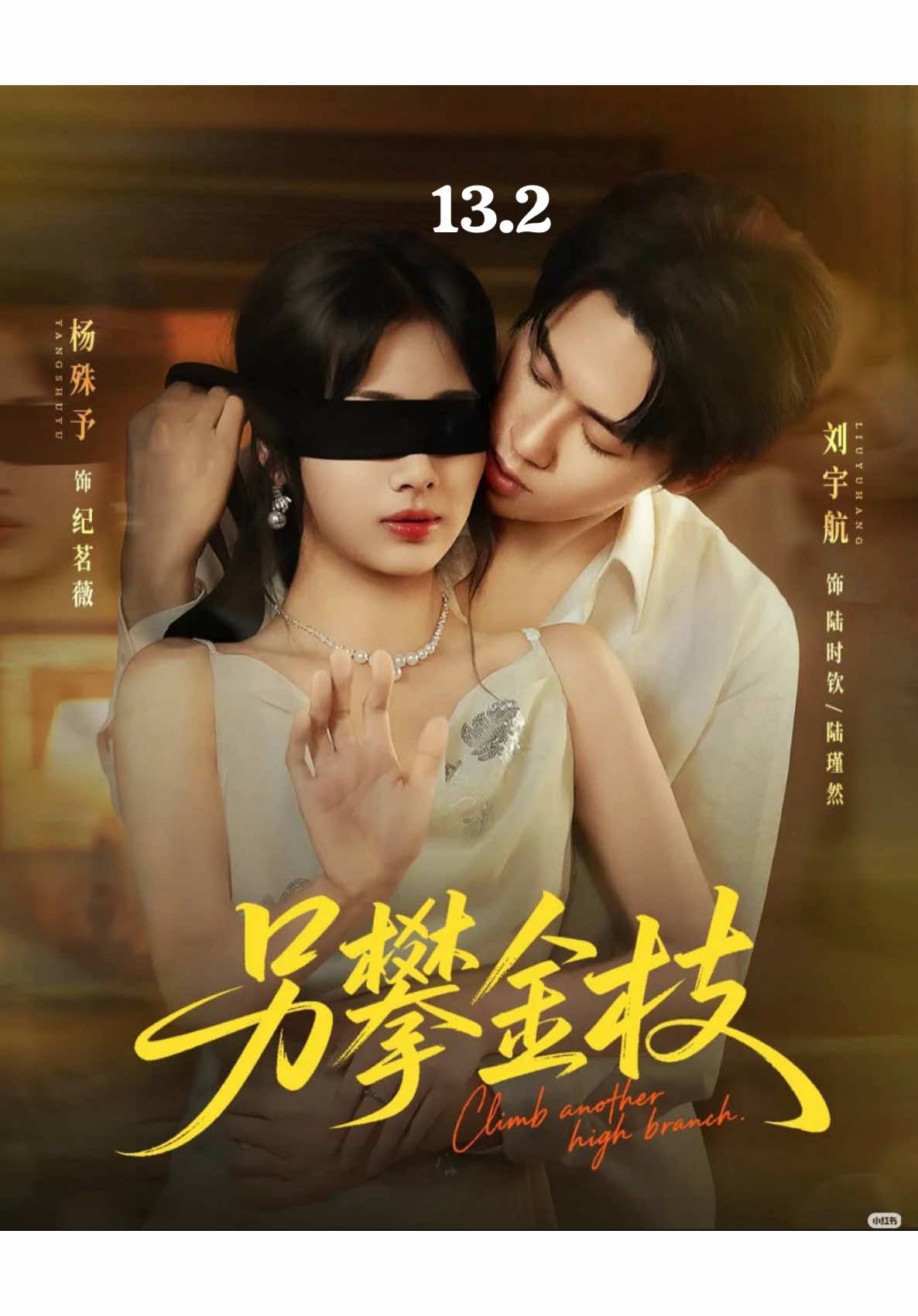 Eps 13.2 #climbanotherhighbranch #liuyuhang #yangshuyu #dramachina #shortdrama