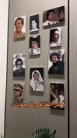 #معمر_القذافي_ضمير_العالم #الجماهيرية_العربية_الليبية_العظمى #امين_العرفي #تاريخنا_العظيم⚡️📚 
