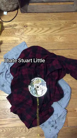 I hate that stupid mause #stuartlittle 