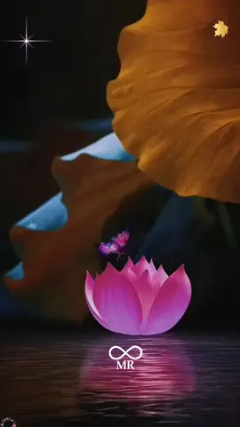 #sigue #viral # #tiktok #feliz