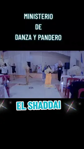 #MovimientoCristianoMisionero #Elshadaii 