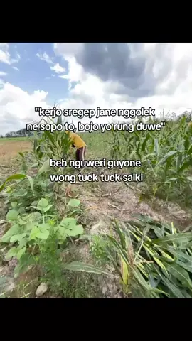 jan nguwawor tenan kok #sobatngaret #kuli #4u #foryoupagе #fypage 