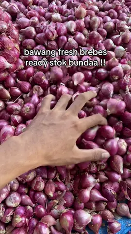 bawang brebes #petanibawangmerahbrebes #promoseruweekend 