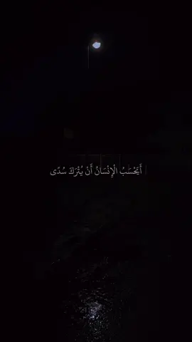 📖✨ تلاوة تهزّ القلب وتُريح النفس ✨📖 استمع بقلبك ودَع القرآن يملأ روحك سكينةً ونورًا 🤍 اللهم اجعل القرآن العظيم ربيع قلوبنا ونور صدورنا 🌿 #قرآن #quran #quran_alkarim #تلاوة_خاشعة #قران_كريم #قران_تيك_توك #تدبر #خشوع #اسلاميات #راحة_نفسية #ذكر_الله