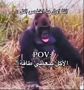 #creatorsearchinsights #تيكتوك #الشعب_الصيني_ماله_حل😂😂 