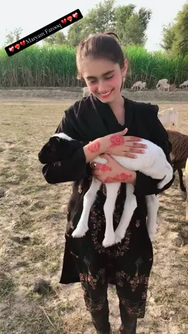 Maryam Farooq 💚💛🧡❤️🩷🩵💙💜🖤🩶❤️‍🩹💔❤️‍🔥🤎🤍❣️💕💞💓💗💝💘💖🩷❤️🧡💛💚🩵💙💜🖤🩶❤️‍🩹❤️‍🔥🤎🤍🩵🩷❤️🧡💛💚