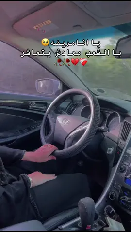 #مالي_خلق_احط_هاشتاقات #الشعب_الصيني_ماله_حل😂😂 #واحلي_متابعين_ومنورين_وربي_يحفظكم 