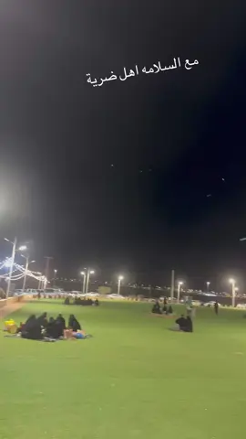 اكسسسبلور ولايكات تيك تك 💫🌸💫🌸💫🌸 مهرجان ليالي ضرية