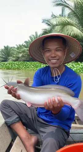 Câu cá trê trên sông miền Tây nè #mientaysongnuoc #caucatre #soraAI #videoAI 