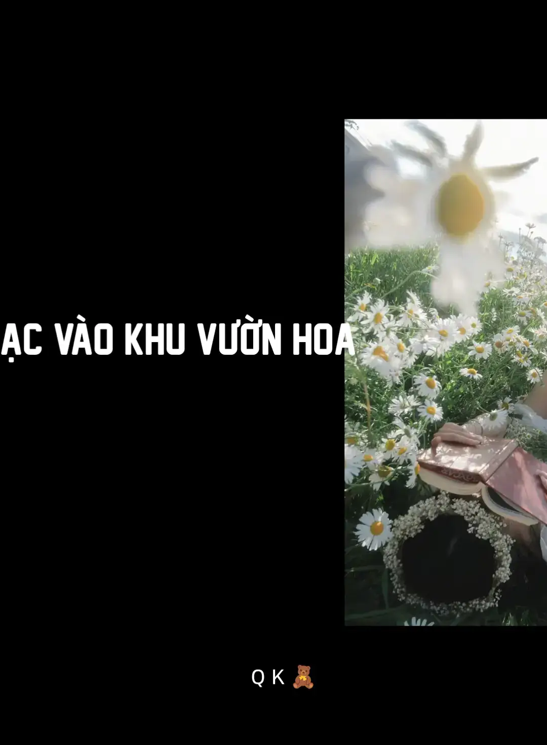 # Lạc Vào Khu Rừng Hoa - Remix #TikTokAwardsVN  #nhachaymoingay #nhactiktokremix #musicchill #remix