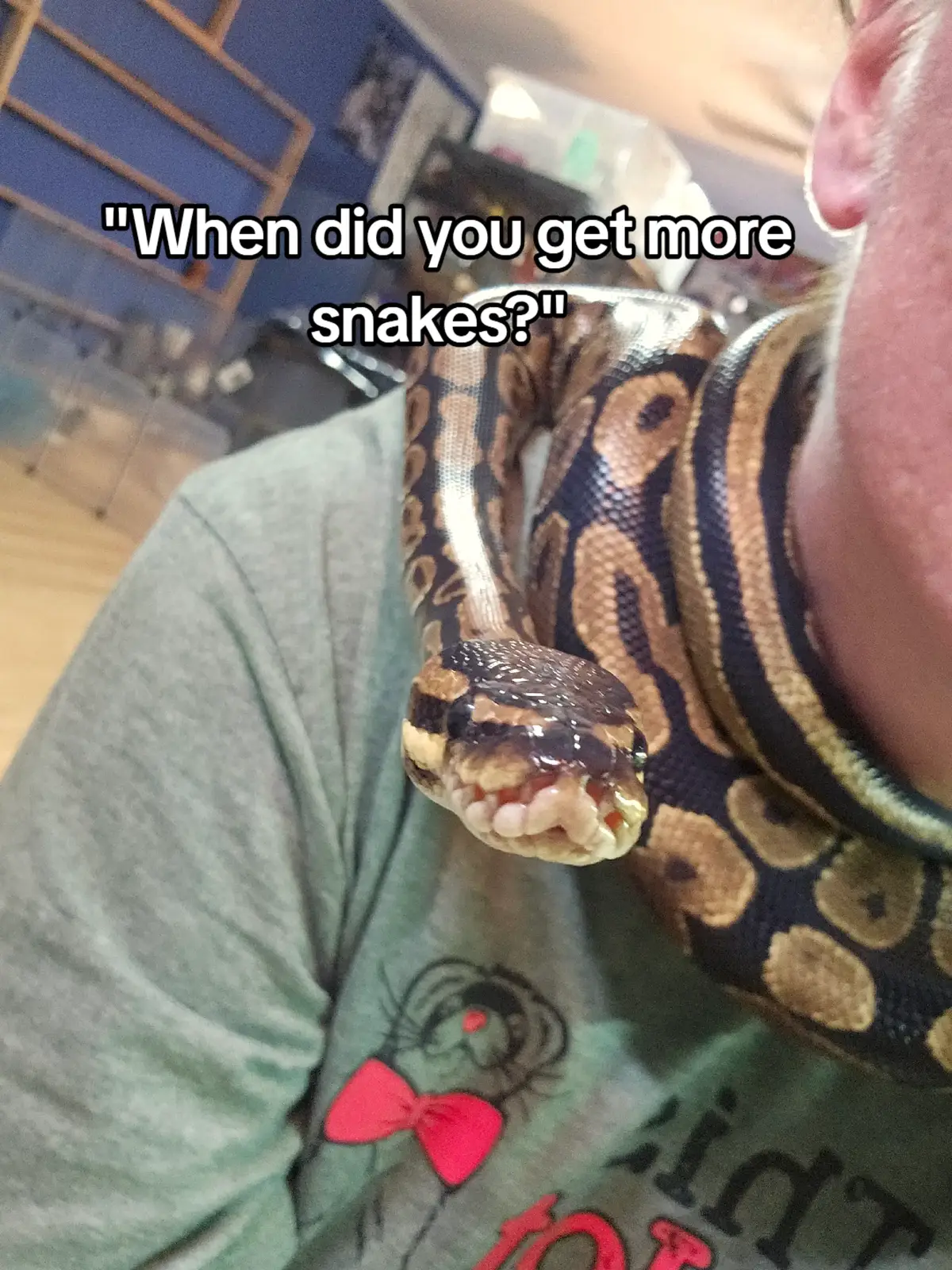 Best animal control officer in south Georgia! Both snakes are on hold but need names! #ballpython #snakes #newaddition #fyp 