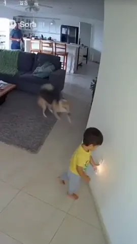 #ia #fly #sora #choque #crianca 