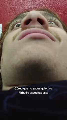 #pitbull #mrworldwide 