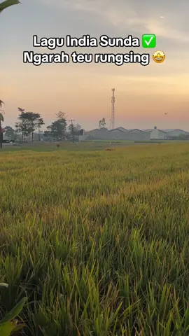 Wilujeng enjing baraya bahagia mih teu ngilu rumgsing 🤭😁#laguindia #lagusunda #trend #rungsing 