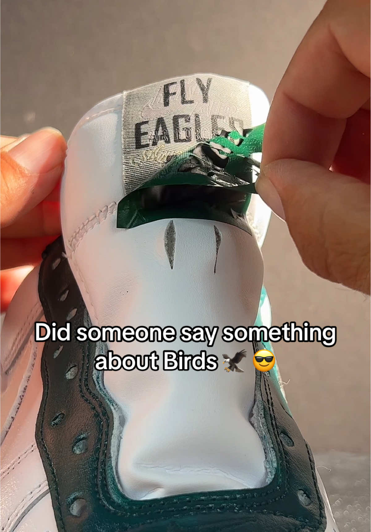 Tag an Eagles fan🦅🏈 #birds #eagles #football #satisfying #fyp 