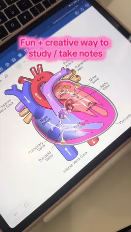 Will I be doing again? Nope #goodnotes6 #whiteboard #ipadstudying #pastudent #prepa 