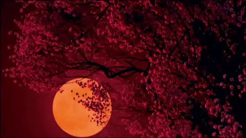 Amo alas creadoras de los manhwas bl por que hicieron un lugar donde puedo ser feliz siempre🥰#mingwa#inking#ttung_gae#foryoupage#manhwasbl🌈 