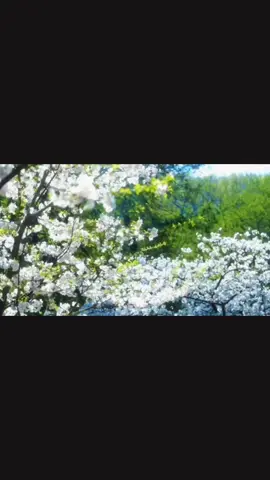 Ta đang cố giữ sự yên bình,#tamtrang #edit #trenmoi #viral #nhachaymoingay 