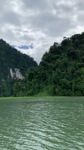 📍 𝐁𝐨𝐜𝐚𝐬 𝐝𝐞𝐥 𝐓𝐨𝐫𝐨( 𝐏𝐚𝐧𝐚𝐦𝐚́)🇵🇦 📍Te invitamos a visitar este impresionante lugar que conserva muchas especies endémicas y de distintas naturaleza poco vistos, entre ella podéis observar cascadas, lagos, rios, y faunas silvestres…🌿🦎🐍 📍UBICACIÓN: Changuinola Arriba( Bocas del Toro). 🎒Si eres coleccionista de las aventuras y las naturalezas, no debes pasar este auténtico lugar en tus próxima aventuras. 📍CONTACTOS: 📲 +𝟓𝟎𝟕-𝟔𝟐𝟔𝟎-𝟔𝟔𝟐𝟎 📥 🥾 Únete a esta experiencias y te llevamos a Conocer cada Rincónes de Bocas del Toro.🌿 #visitpanamá #travelingtheworld #TurismoDeAventura #bocasdeltoro #turismosostenible 