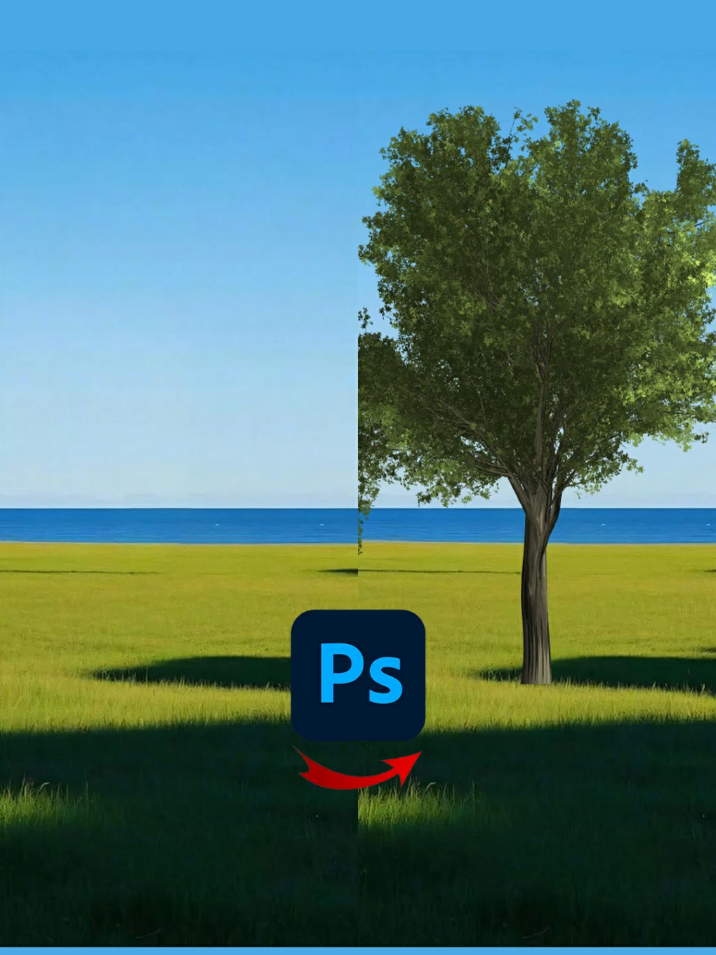 Create a Tree in Photoshop – إنشاء شجرة بالفوتوشوب دروس فوتوشوب تعديل الصور باستخدام الفوتوشوب #دروس_فوتوشوب #PhotoshopTricks #GraphicDesign #Photoshop #تصميم_جرافيك 